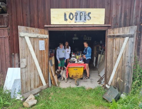 Roadtrip Zweden- Dag 14 – Loppis